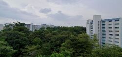Blk 281 Tampines Street 22 (Tampines), HDB 4 Rooms #517249071